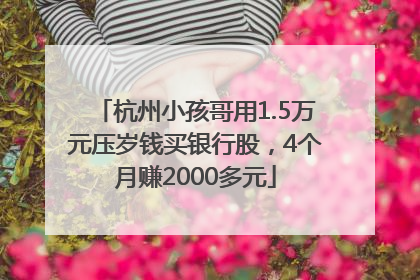 杭州小孩哥用1.5万元压岁钱买银行股，4个月赚2000多元