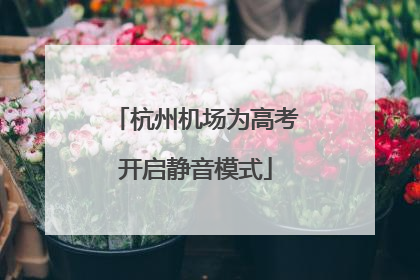 杭州机场为高考开启静音模式