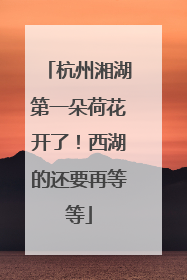 杭州湘湖第一朵荷花开了！西湖的还要再等等