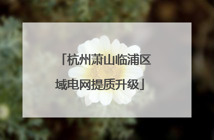 杭州萧山临浦区域电网提质升级