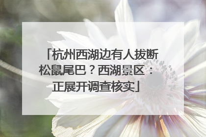 杭州西湖边有人拔断松鼠尾巴？西湖景区：正展开调查核实