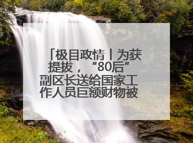 极目政情丨为获提拔，“80后”副区长送给国家工作人员巨额财物被“双开”