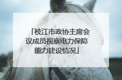 枝江市政协主席会议成员视察电力保障能力建设情况