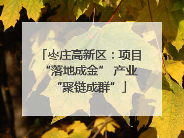 枣庄高新区：项目“落地成金” 产业“聚链成群”