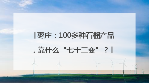 枣庄：100多种石榴产品，靠什么“七十二变”？