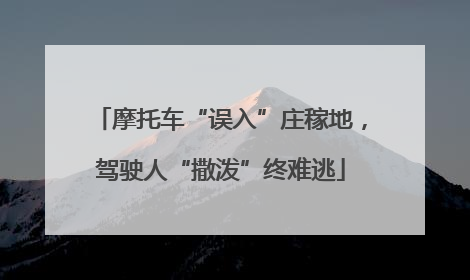 摩托车“误入”庄稼地，驾驶人“撒泼”终难逃