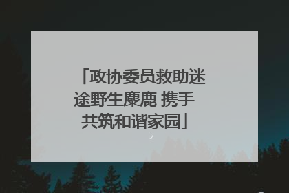 政协委员救助迷途野生麋鹿 携手共筑和谐家园