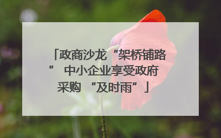 政商沙龙“架桥铺路” 中小企业享受政府采购 “及时雨”