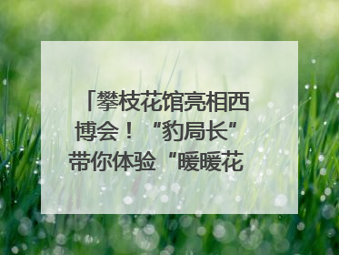攀枝花馆亮相西博会！“豹局长”带你体验“暖暖花城”独特魅力｜西博视界