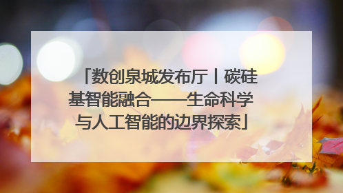 数创泉城发布厅丨碳硅基智能融合——生命科学与人工智能的边界探索