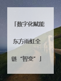 数字化赋能 东方雨虹全链“智变”