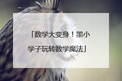 数学大变身！墨小学子玩转数学魔法