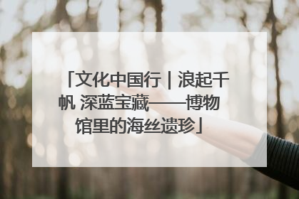 文化中国行｜浪起千帆 深蓝宝藏——博物馆里的海丝遗珍