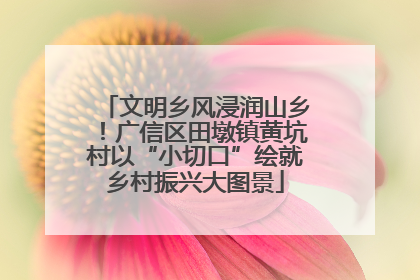 文明乡风浸润山乡！广信区田墩镇黄坑村以“小切口”绘就乡村振兴大图景
