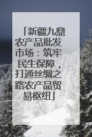 新疆九鼎农产品批发市场：筑牢民生保障，打通丝绸之路农产品贸易枢纽