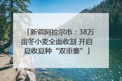新疆阿拉尔市：38万亩冬小麦全面收割 开启夏收夏种“双重奏”