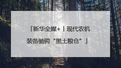 新华全媒+丨现代农机装备驰骋“黑土粮仓”