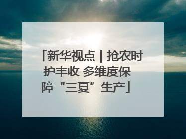 新华视点｜抢农时 护丰收 多维度保障“三夏”生产