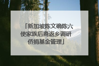 新加坡陈文确陈六使家族后裔返乡调研侨捐基金管理