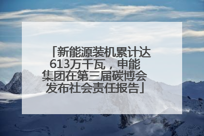新能源装机累计达613万千瓦，申能集团在第三届碳博会发布社会责任报告