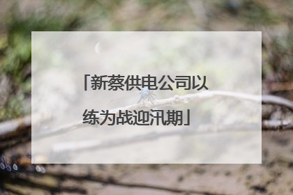 新蔡供电公司以练为战迎汛期
