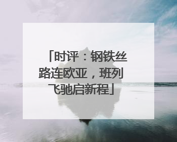 时评：钢铁丝路连欧亚，班列飞驰启新程