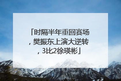 时隔半年重回赛场，樊振东上演大逆转，3比2徐瑛彬