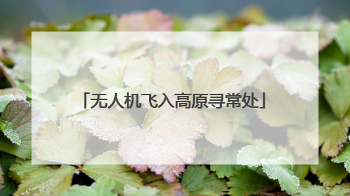 无人机飞入高原寻常处