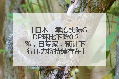 日本一季度实际GDP环比下降0.2%，日专家：预计下行压力将持续存在