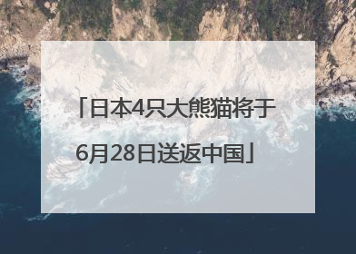 日本4只大熊猫将于6月28日送返中国