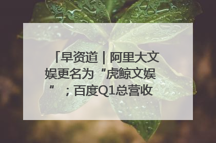 早资道｜阿里大文娱更名为“虎鲸文娱”；百度Q1总营收325亿元超预期