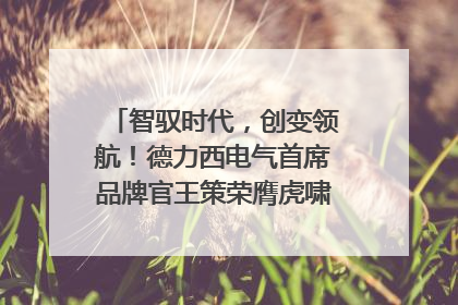 智驭时代，创变领航！德力西电气首席品牌官王策荣膺虎啸奖年度品牌人物