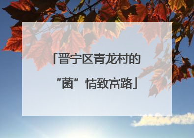 晋宁区青龙村的“菌”情致富路