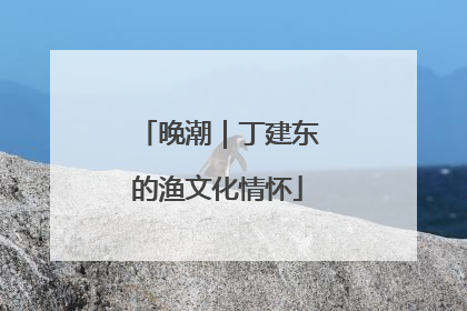 晚潮｜丁建东的渔文化情怀