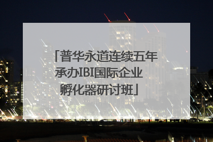 普华永道连续五年承办IBI国际企业孵化器研讨班