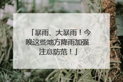 暴雨、大暴雨！今晚这些地方降雨加强 注意防范！
