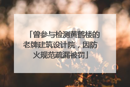 曾参与检测黄鹤楼的老牌建筑设计院，因防火规范疏漏被罚