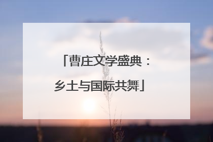 曹庄文学盛典：乡土与国际共舞