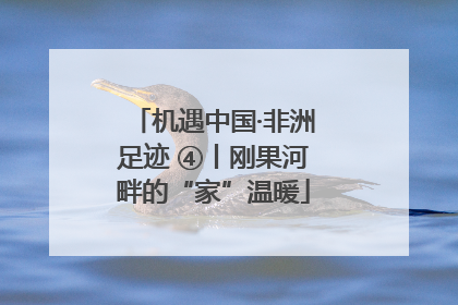 机遇中国·非洲足迹 ④丨刚果河畔的“家”温暖