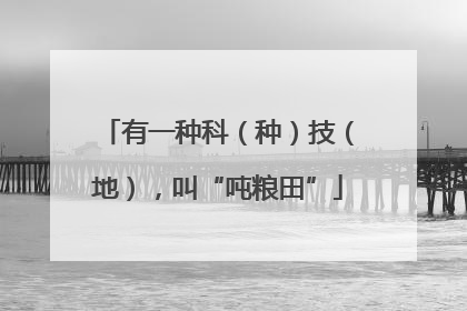 有一种科（种）技（地），叫“吨粮田”