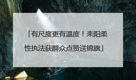 有尺度更有温度！耒阳柔性执法获群众点赞送锦旗