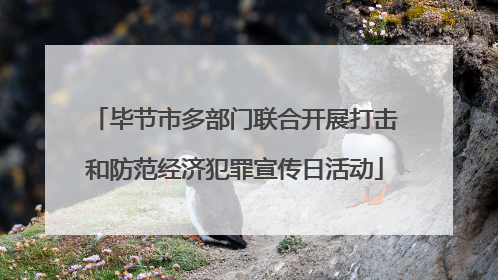 毕节市多部门联合开展打击和防范经济犯罪宣传日活动