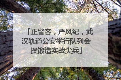正警容，严风纪，武汉轨道公安举行队列会操锻造实战尖兵