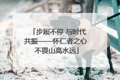 步履不停 与时代共振——怀仁者之心 不畏山高水远