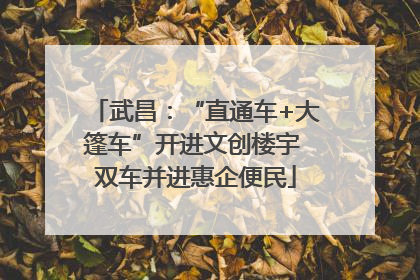 武昌：“直通车+大篷车”开进文创楼宇 双车并进惠企便民