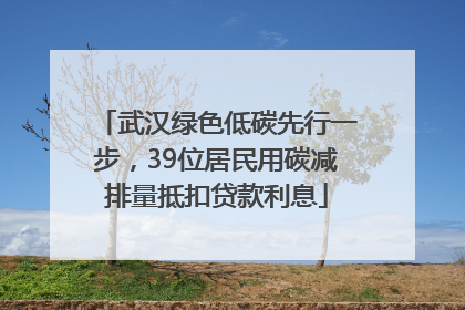 武汉绿色低碳先行一步，39位居民用碳减排量抵扣贷款利息