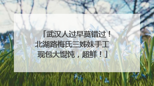 武汉人过早莫错过！北湖路梅氏三姊妹手工现包大馄饨，超鲜！