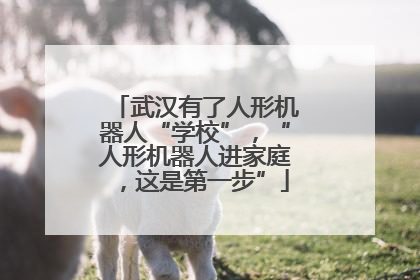 武汉有了人形机器人“学校”，“人形机器人进家庭，这是第一步”