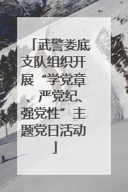 武警娄底支队组织开展“学党章、严党纪、强党性”主题党日活动