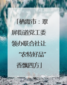栖霞市：翠屏街道党工委领办联合社让“农特好品”香飘四方